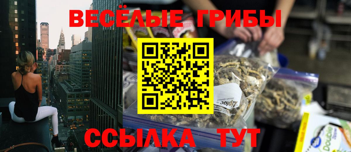 Чита  Галлюциногенные грибы Cubensis  Вход с VPN 