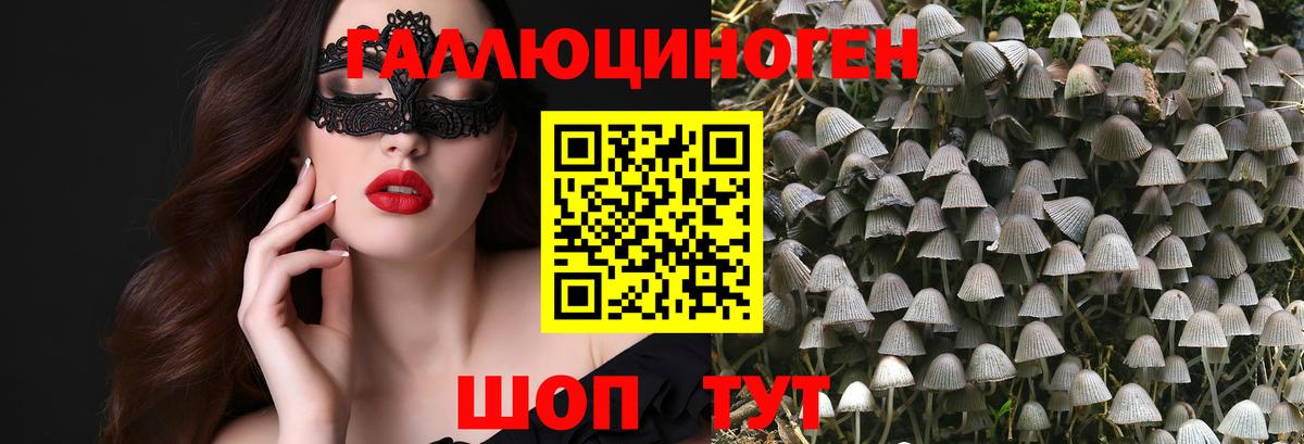 Галлюциногенные грибы MAGIC MUSHROOMS Чита
